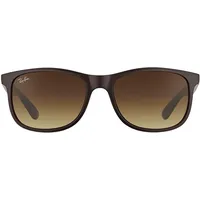 Ray-Ban Andy RB4202 607313 55-17 brown/brown gradient
