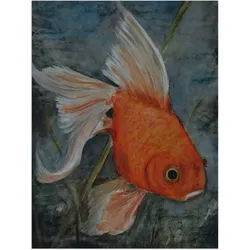 Artland Alu-Dibond-Druck »Feng Shui - Goldfisch«, Wassertiere, (1 St.), für Innen- und Außenbereich geeignet, Outdoorbild Artland Farbe Bild(er): orange