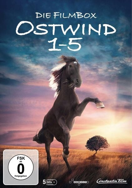 Preisvergleich Produktbild Ostwind 1-5 [5 DVDs]