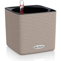 LECHUZA Cube Color 14 Komplettset 14 x 14 x 13,5 cm Sandbraun
