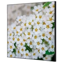 Showdown Displays Showdown Wanddekoration Weiße Blume Spirea