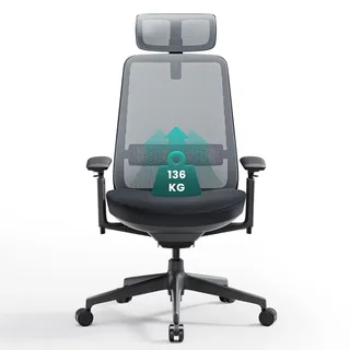 colamy Ergonomischer Bürostuhl, Mesh Computerstuhl mit hoher Rückenlehne, Office Chair mit Lendenwirbelstütze, verstellbare Kopfstütze und 4D Armlehnen, Schiebesitz, Schwarz & Grau