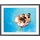 AgfaPhoto APF1700WIFI 17" 1280 x 960 Pixel, LCD, JPEG, JPG, PNG, WEB