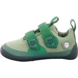 Affenzahn Barfußschuh Lucky Frosch Grün 25