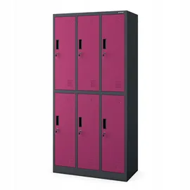 Jan Nowak Schließfachschrank Stahl 185 x 90 x 45 cm Anthrazit/Fuschie 6 Fächer