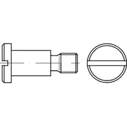 DIN 923 Flachkopfschraube mit Schlitz und Ansatz, ohne Freistich, 5.8 M6x4 HP
