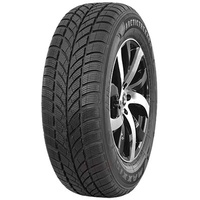 Maxxis WP-05 Arctictrekker 175/60 R15 81T