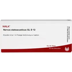 Nervus Statoacusticus Gl D12 Ampullen