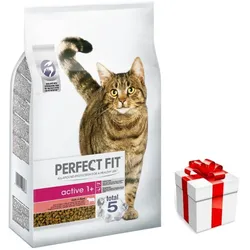 Perfect FitTM - Trockenvollnahrung für ausgewachsene Katzen, reich an Rindfleisch 7kg + Überraschung für die Katze