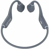 LEOTEC LEBONE03G Grau