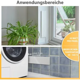 NORTHPOINT Schimmelentferner 2 St.