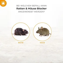 Protect Home Ratten & Mäuse Blocker Pulver 300 g