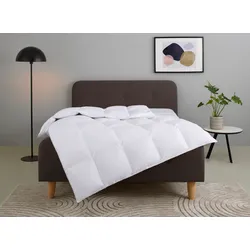 Daunenbettdecke HOME AFFAIRE "Litrone, Bettdecke 135x200 cm, 155x220 cm, 200x200 cm, 240x220 cm", weiß, B:155cm L:220cm, Bezug: 100% Baumwolle. Füllung: 100% Gänsedaunen, Bettdecken, Bettdecken, Sommer, Winter, Ganzjahresdecke, Decke, Made in Germany