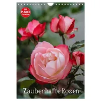 Calvendo Zauberhafte Rosen (Wandkalender 2026 DIN A4 hoch), CALVENDO