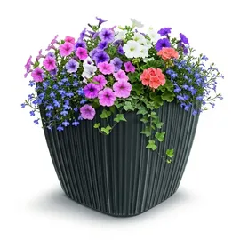 Prosperplast Oro 29 x 29 x 27 cm Dunkelgrau