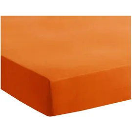 Traumschlaf Spannbettlaken Jersey-Baumwolle 180 x 200 - 200 x 200 cm orange