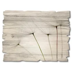 Artland Holzbild »Pusteblumen-Samen I«, Blumen, (1 St.) Artland Farbe Bild(er): grau