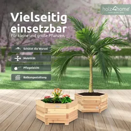 holz4home Pflanzkübel 6-eckig S 40 x 40 x 40 cm Braun