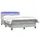 vidaXL Boxspringbett 160 x 220 cm Hellgrau