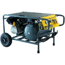 Kompressor CPM L 310-10-20WX