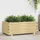 furnicato Hochbeet 100 x 50 x 40 cm Beige/Grün