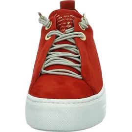 Paul Green 5017 salsa 38