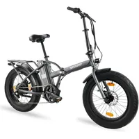 Sharp E-Fatbike 20 Zoll RH 0 cm grau