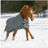 BUSSE Paddockdecke BUSSE Outdoordecke WINDCHILL 00, ohne Wärmeisolierung grau 165 cm