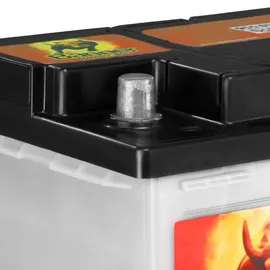 Banner Energy Bull 60Ah 12V
