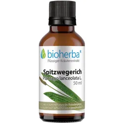 Spitzwegerich 50 ml