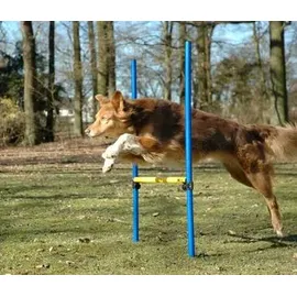 Dobar Agility Sprung-Set 100 x 76 cm Blau/Gelb