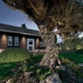 Kaemingk Solar LED-Licherkette Compact 11 m warmweiß