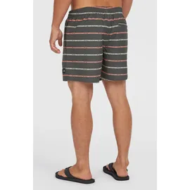 O'Neill Cali First 15'' Swimshorts Grau S