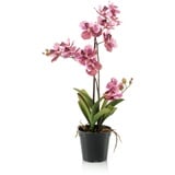 artplants.de Kunstorchidee Vanda Campo, rosa-pink, 60cm - Künstliche Orchidee/Blumendeko Orchidee