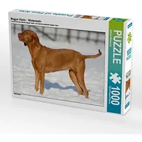 Calvendo Magyar Vizsla - Wintermotiv 1000 Teile