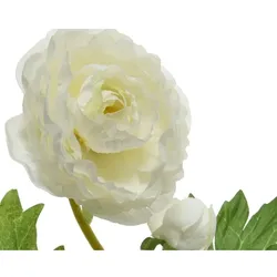 Decoris Künstliche Ranunkeln Stiel 57cm Kunstblumen Seidenblumen Frühlingsblumen Weiß