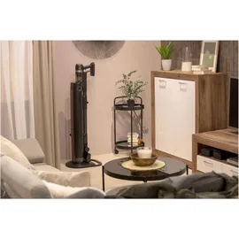 Hisense HVC676451DA Akku-Bodenstaubsauger schwarz