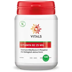 Vitamin B2 25 mg