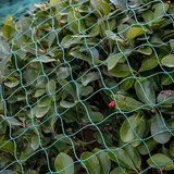 Vogelschutznetz Stabil Katzennetz Fenster Ohne Bohren Gartennetze Maschenweite 1.5x1.5cm für Vogelabwehr Beetschutz, engmaschig,4x10m