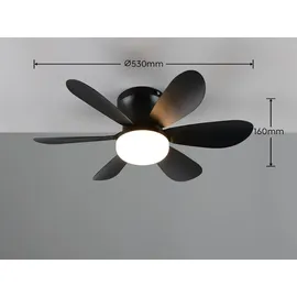 Trio Lund 1 schwarz, 20W, 6500K