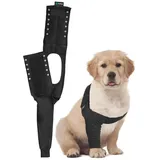 Suitical Recovery Sleeve Hund, XXS, Schwarz