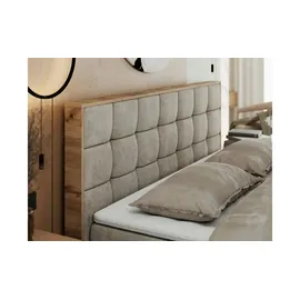 MKS Albero 1 120 x 200 cm H4 Beige