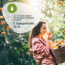GSE CitroPlus Grapefruitkernextrakt Tropfen 20 ml