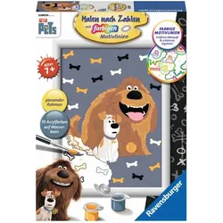 RAVENSBURGER 28011 Malen nach Zahlen Max und Duke