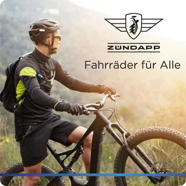 Zündapp Z517 E Bike Damenfahrrad 28 Zoll 155 - 190 cm mit 7 Gang Nabenschaltung und Rücktrittbremse - schwarz