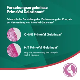 Primeval Gelatinaat für Pferde - fördert Muskelkondition und den Erhalt kräftiger Knochen - 5 kg