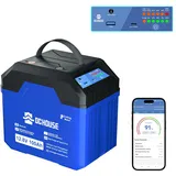 DCHOUSE 12V 100Ah LiFePO4 Bluetooth Batterie mit Indikator Anzeige,USB-A, DC, Type-C Ports,100A BMS,1280Wh Lithium Batterie 12V 100Ah Autobatterie für Trolling Motor,Wohnmobil, Wohnwagen,Camping