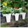 KHW Flowerclip Ø 27 x 27,5 cm weiß 3 Stück