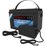 12V 100Ah LiFePO4 Batterie Akku, wiederaufladbare Lithium Deep-cycle-batterien mit 100A BMS, geringe Selbstentladung, für solaranlage wohnmobil,solarspeicher, Camping