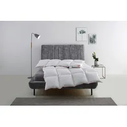 Daunenbettdecke RIBECO "Richard, Bettdecken für Sommer oder Winter, Made in Germany", weiß, B:155cm L:220cm, Bezug: 100% Baumwolle. Füllung: 90% Entendaune, 10% Entenfeder, Bettdecken, Bettdecke 135x200 cm, 155x220 cm und weitere Größen, Decke